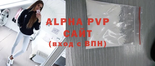 apvp Каменка
