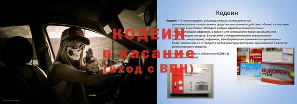 apvp Каменка