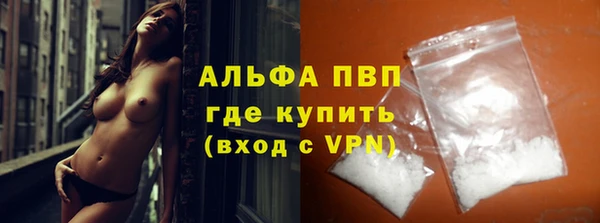 apvp Каменка