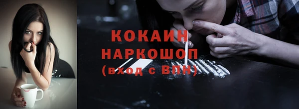 apvp Каменка