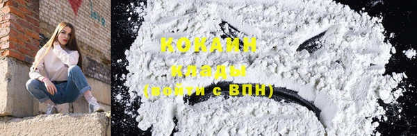 apvp Каменка