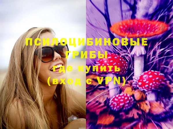 альфа пвп Каменногорск